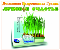 Проращиватель ЛУКОВОЕ СЧАСТЬЕ