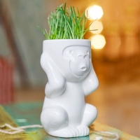 Экочеловек ИГНОРИК (обезьяна)