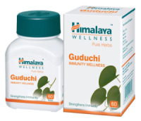 Himalaya Guduchi (Гудучи)