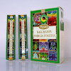 Ppure Positive Energy