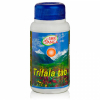 Трифала Shri Ganga